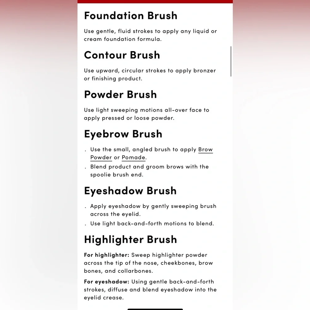 Bdb- billion dollar brushes Pro Brush Essentials kit - NEW 💋 w/tote
